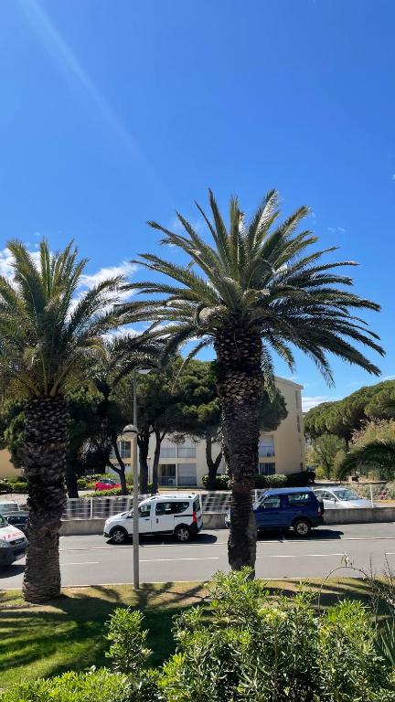 Deux palmiers dans un parking avec des voitures dans l'établissement APPARTEMENT T2 GRUISSAN PLAGE DANS RÉSIDENCE CALME, à Gruissan