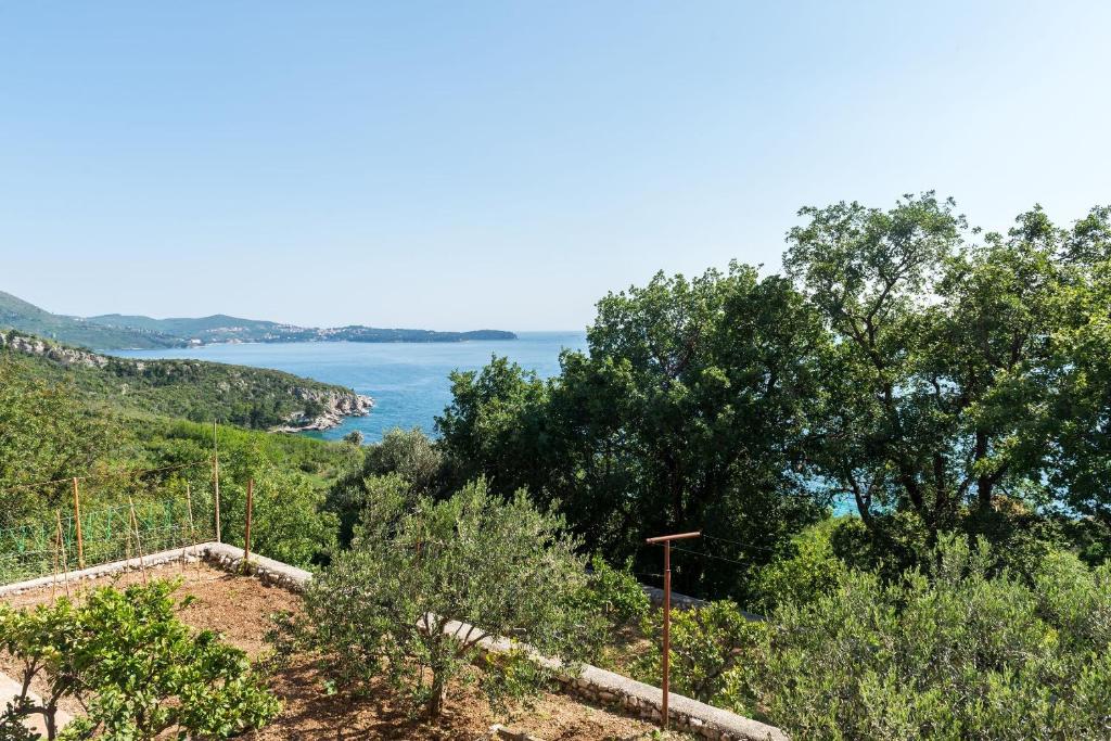 una colina con árboles y vistas al océano en Villa Barbara, en Mlini