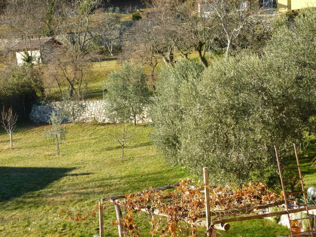 Zahrada ubytování Casa Teodoro - Gelsomino, Ulivi & Orchidea