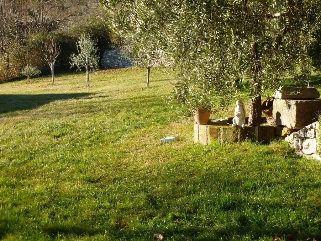 Zahrada ubytování Casa Teodoro - Gelsomino, Ulivi & Orchidea