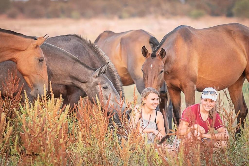 a couple of people standing in front of a group of horses at Zambujal Horses & Nature. House t1. Alentejo. Arronches. in Arronches
