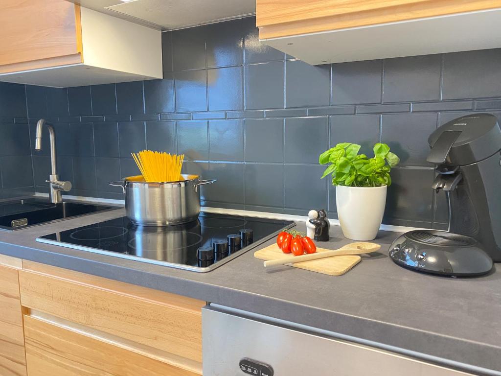 Kuchyň nebo kuchyňský kout v ubytování Apartment Mozart