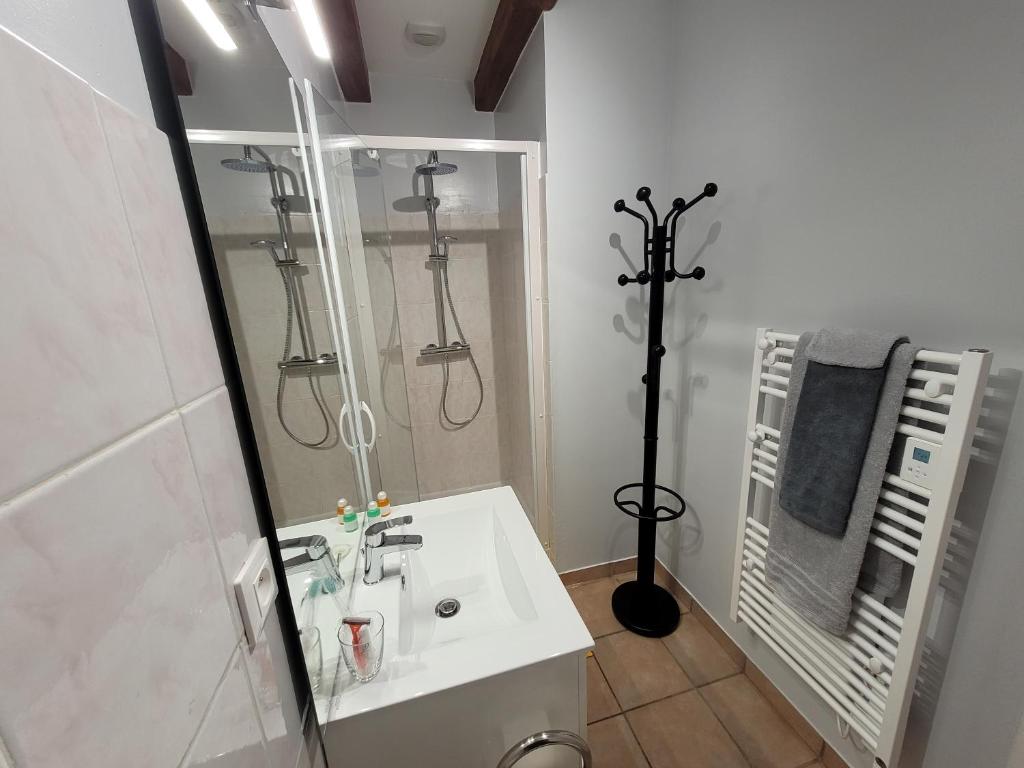 a bathroom with a shower and a white sink at Le petit monas in Civaux