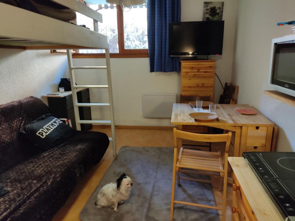 een kamer met een stapelbed, een tafel en een hond bij PETIT STUDIO 17 M2 in La Foux