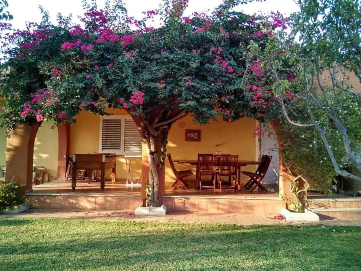 una casa con una mesa y un árbol con flores rosas en Casa buganvilla, en Almarda
