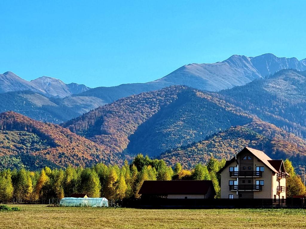 Pensiunea Piemont - Casa De Vacaciones