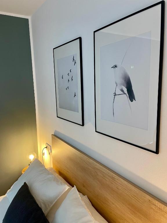 Home Las Burgas D&C - 12