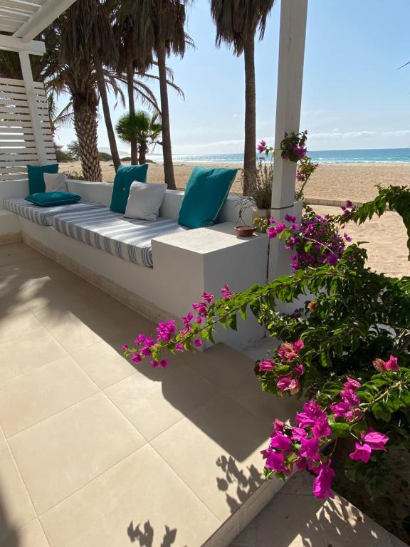 Villa Nº25b Alfredo Marchetti suites on the beach Praia di Chaves في Cabeçadas: مقعد على الشاطئ مع الزهور الأرجوانية