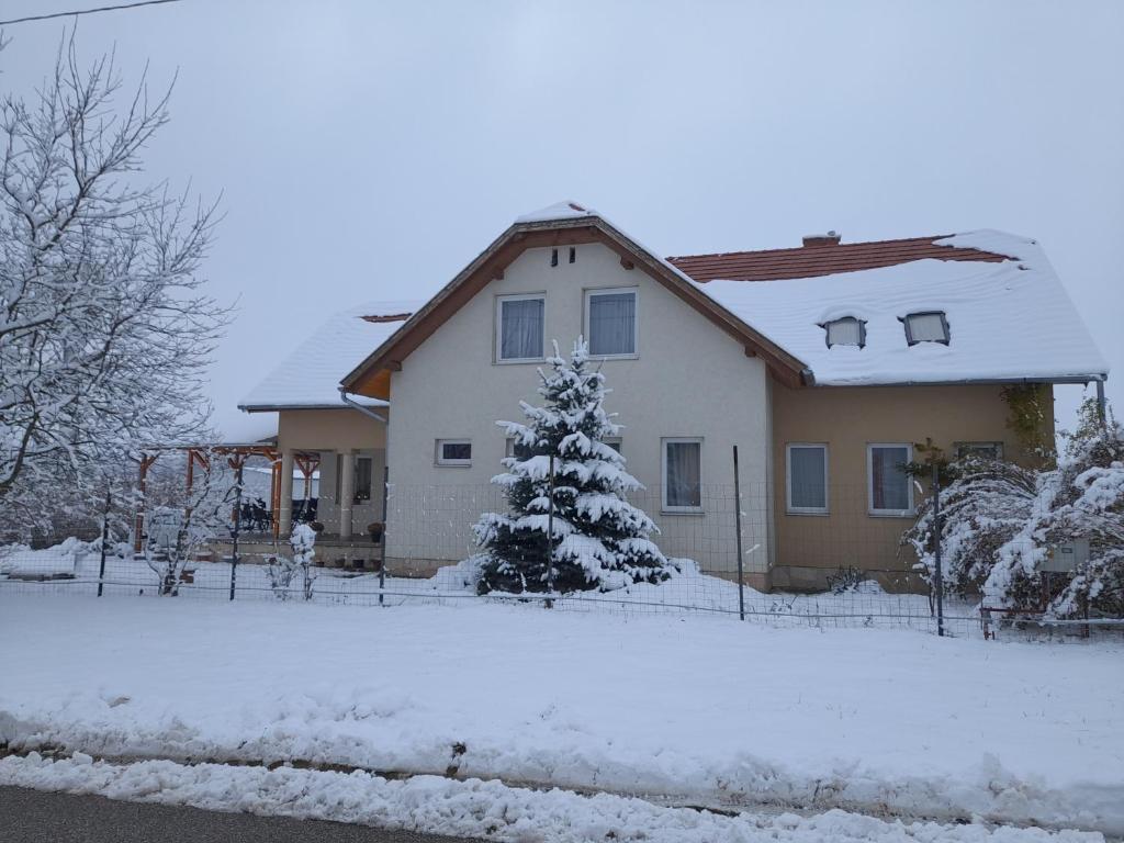 Anna Vendégház Szeleste during the winter