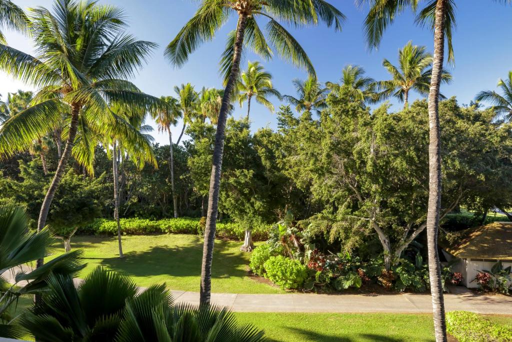 Fairmont Orchid photo 5