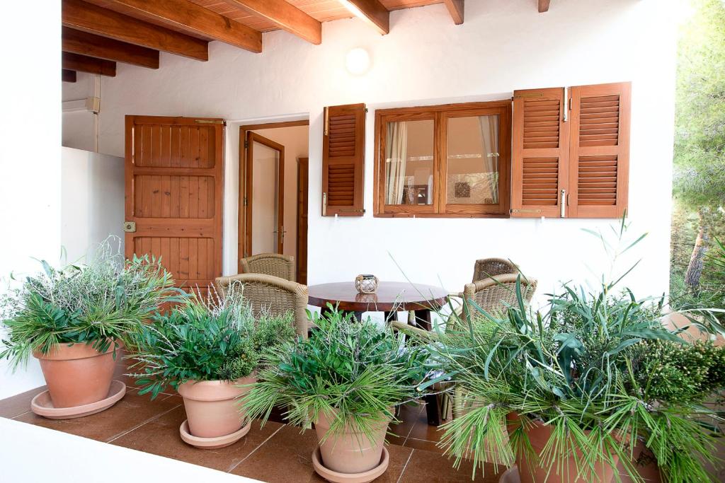 un patio con piante in vaso, tavolo e armadi di Apartamentos Molina 9-10-11 a Es Caló de Sant Agustí