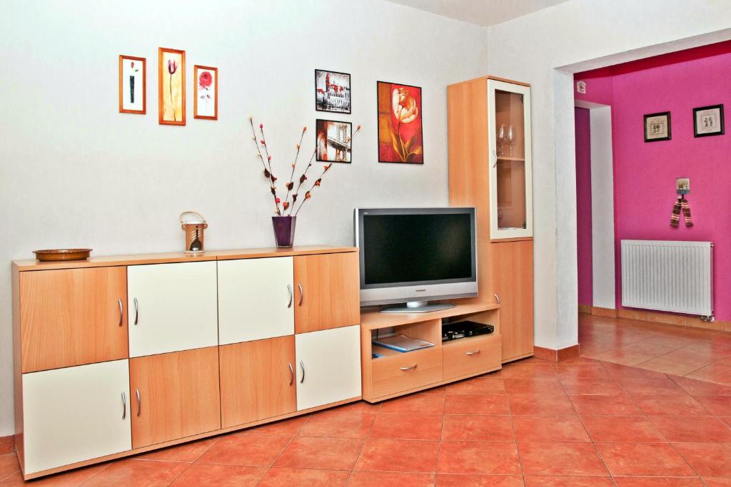 TV a/nebo společenská místnost v ubytování Chata Dvě Sestry