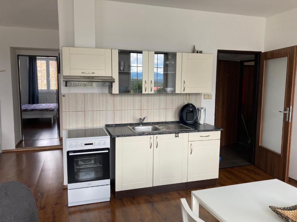 Kuchyň nebo kuchyňský kout v ubytování Apartmán Hartmanice