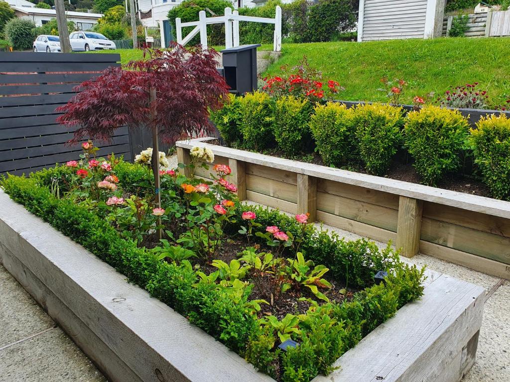 Roslyn Flowers Dunedin Best Flower Site