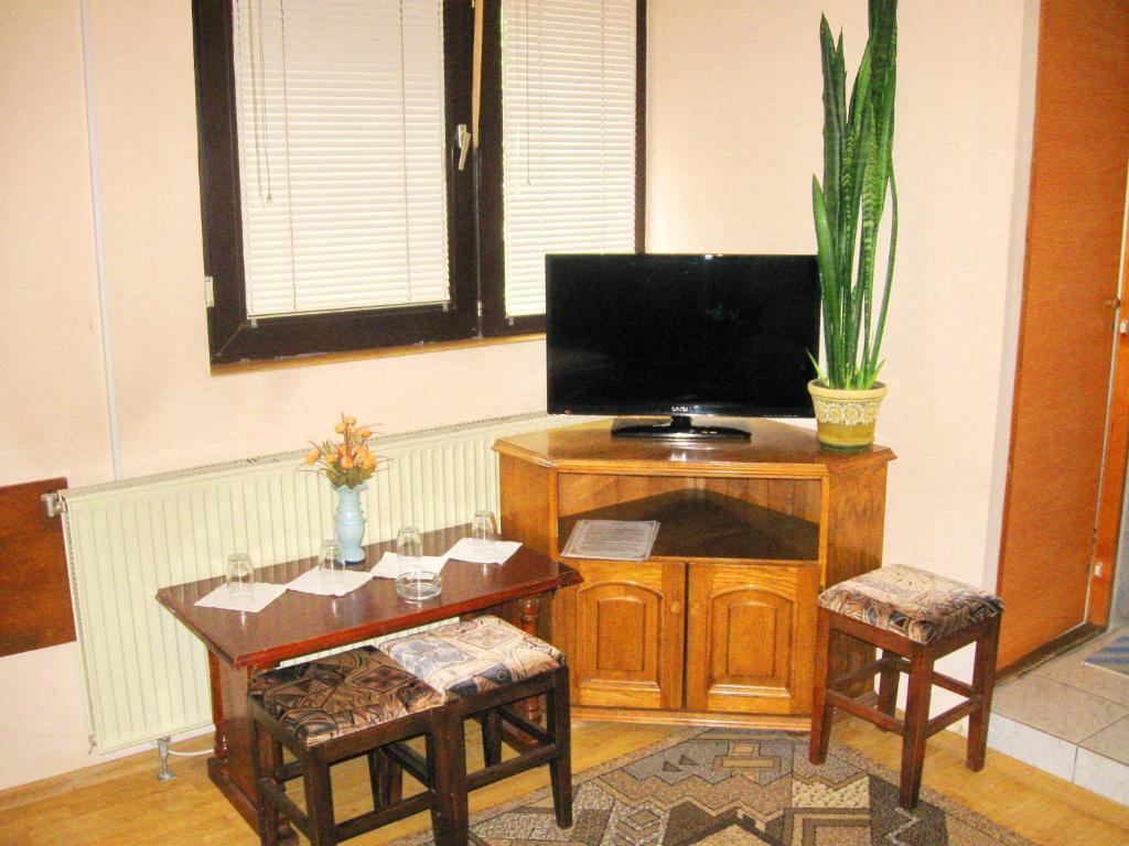 Televiisor ja/või meelelahutuskeskus majutusasutuses Amfora Rooms Caribrod