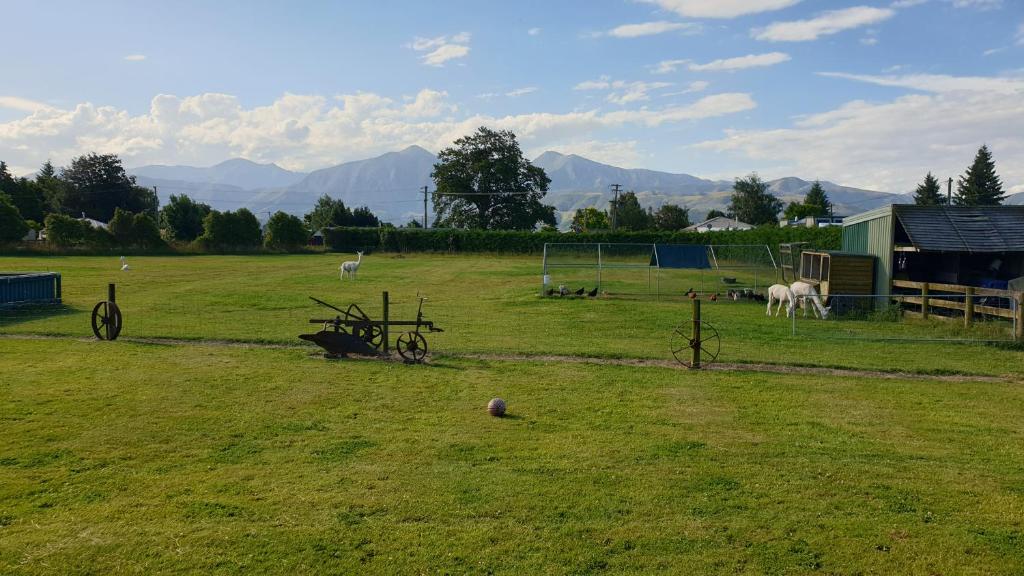 um campo com cavalos a pastar num campo com montanhas em Bahara Accommodation em Springfield