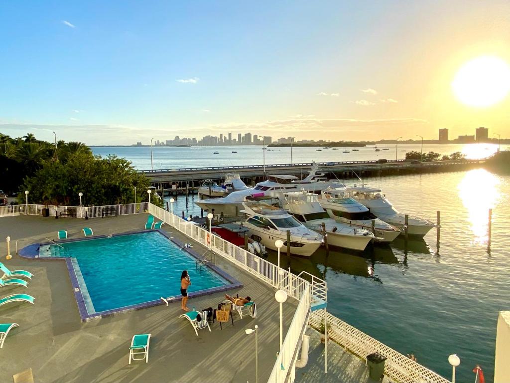 - une piscine à côté d'un port de plaisance avec des bateaux dans l'établissement Deluxe waterfront one bedroom apartment with free parking 5 mins drive to Miami Beach, à Miami Beach