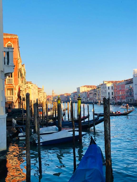 a group of boats are docked in the water at Ca Dode Grand Canal in Venice