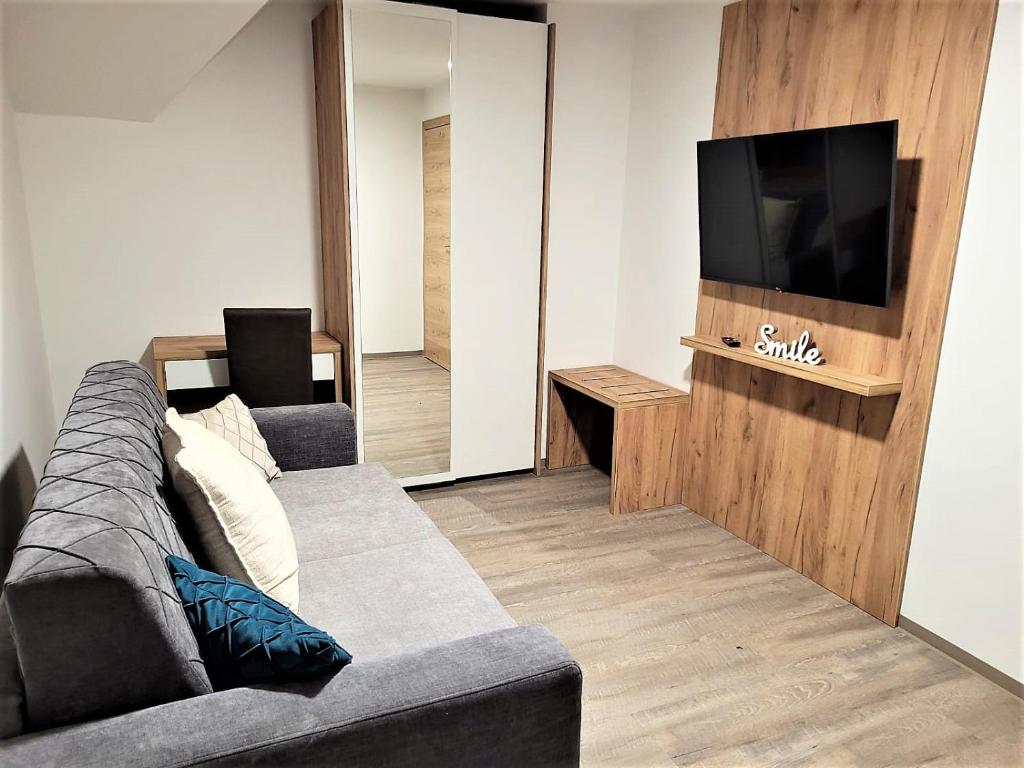 TV a/nebo společenská místnost v ubytování Sylpaulerhof Aparthotel