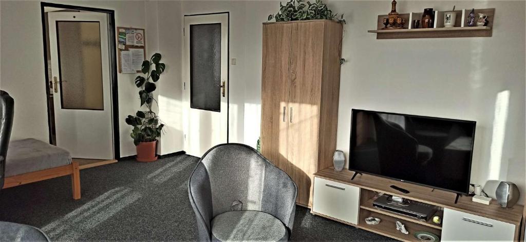 TV o dispositivi per l'intrattenimento presso Apartmán Milena