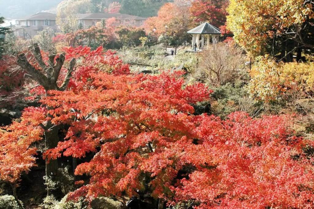 Zahrada ubytování Forest Villa Hakone