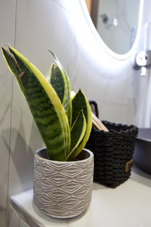 ODI ARTSPITALITY - 4