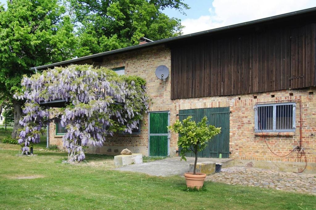 a building with a wisteria tree in front of it at Vacation Home, Zahrensdorf in Zahrensdorf