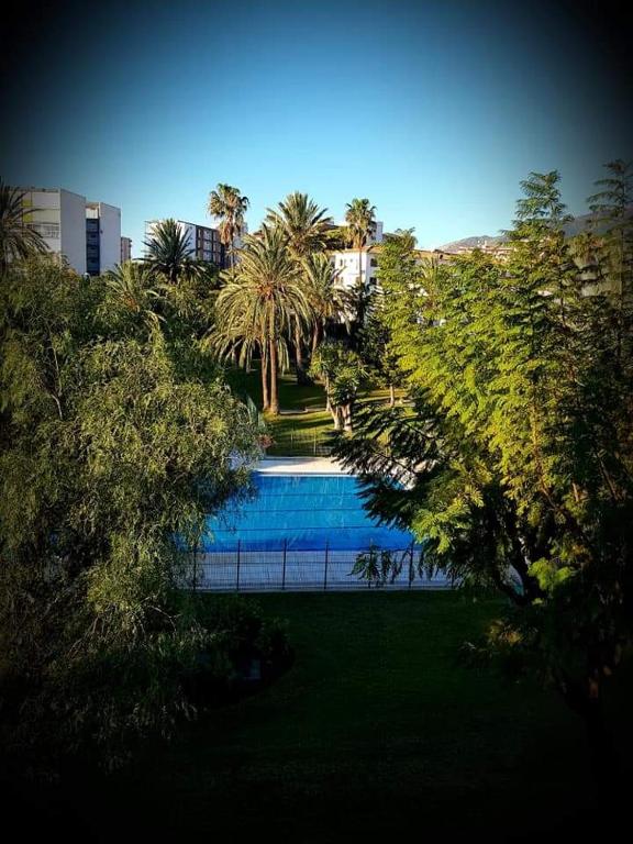 basen z palmami w parku w obiekcie Appartement à 250m de la plage w mieście Benalmádena