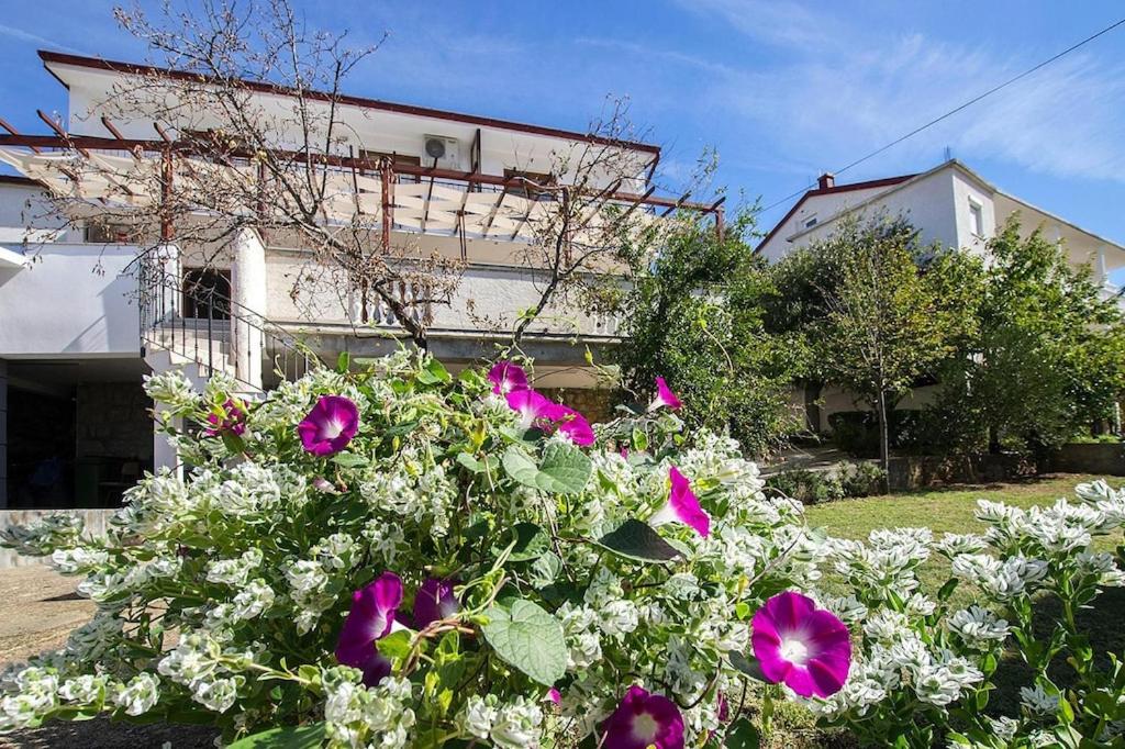 kwiaty przed domem w obiekcie Apartment in Starigrad Paklenica with balcony or terrace w mieście Starigrad-Paklenica