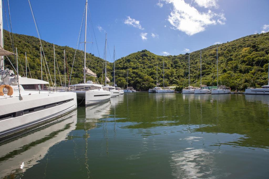 a bunch of boats are docked in a marina at Blue Sail Hotel in Anse Marcel 