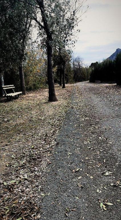 Kép Apartamento en puerta valle Ricote y Archena szállásáról Villanueva de Río Segurában a galériában