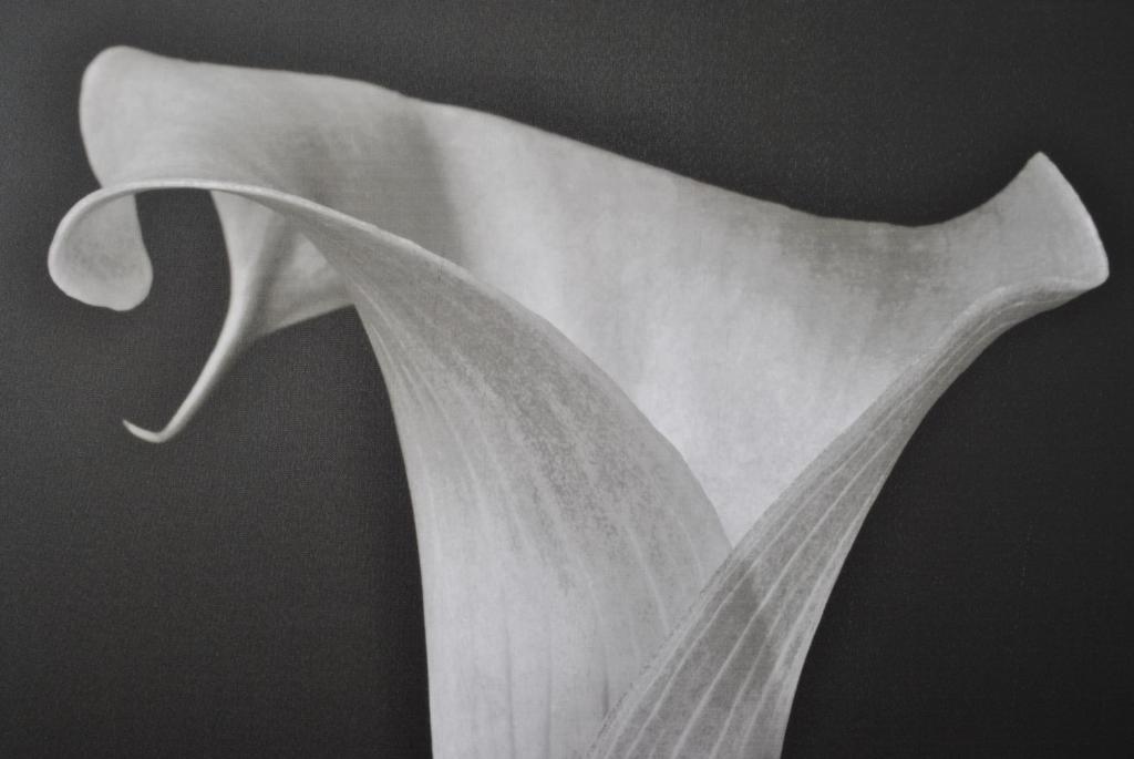 B&b Mondello Resort - 15