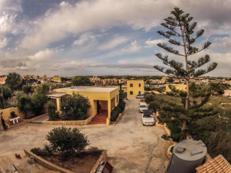 a house with a pine tree in a parking lot at Case dell' Acqua in Lampedusa