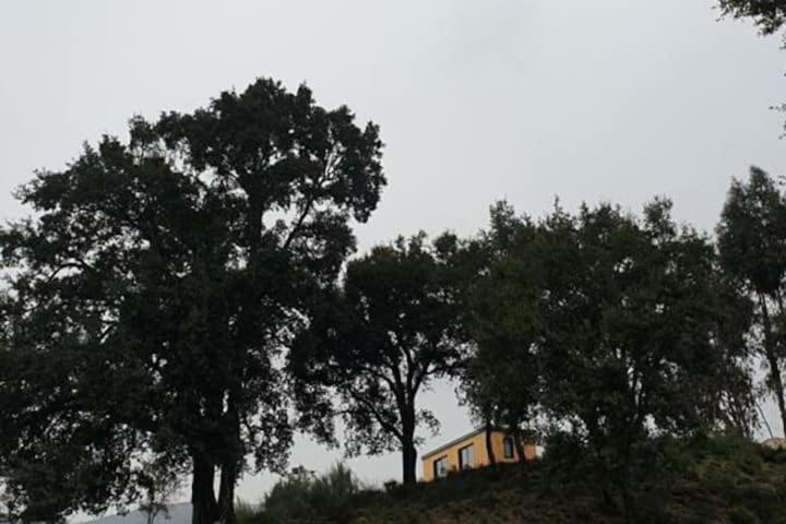 a house on top of a hill with trees at Refúgio do Sobreiro in Cabeceiras de Basto