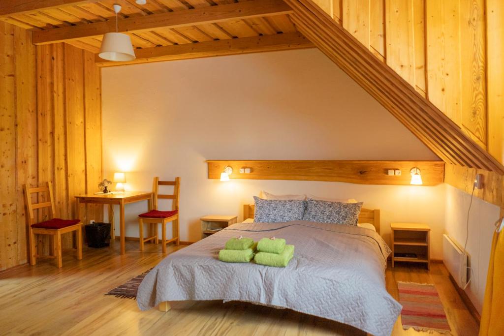 Ružas - Double Room