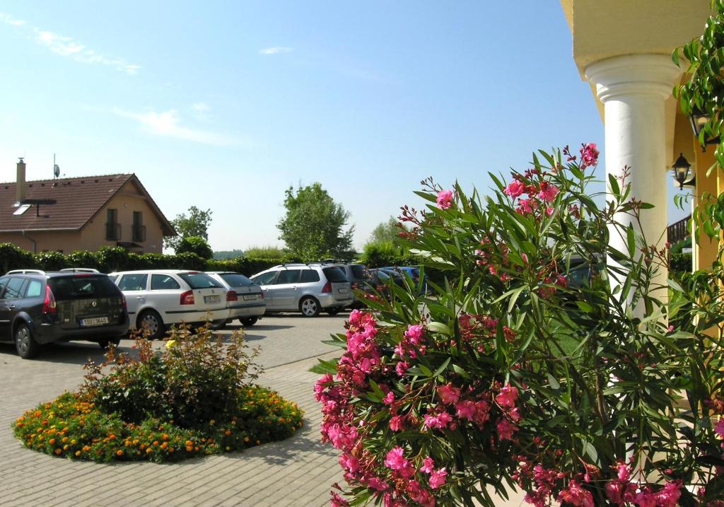 Zahrada ubytování Apartmány Family Veľký Meder