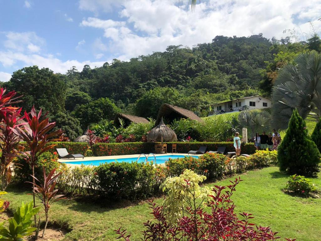 un complexe avec piscine dans un jardin dans l'établissement Hotel Zaku Reserva Natural, à Palomino
