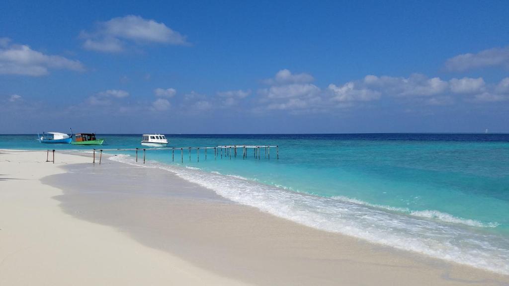 a beach with a pier in the water at PRIV Fodhdhoo in Fodhdhoo