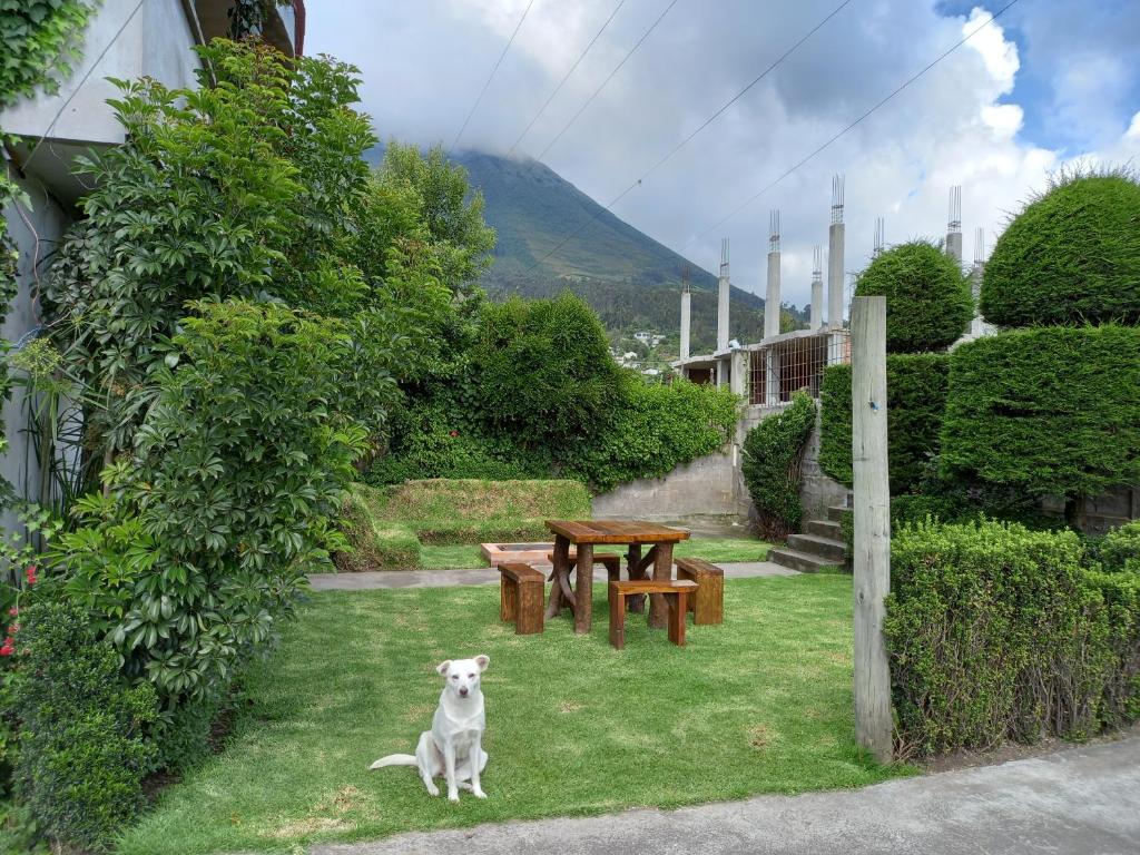 Nespecifikovaný výhled na hory nebo výhled na hory při pohledu z bed and breakfast