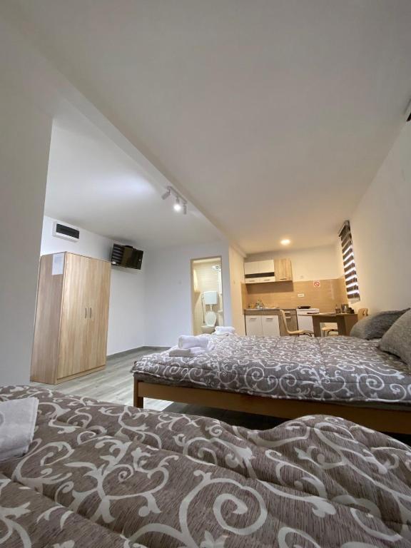 a bedroom with two beds and a kitchen in the background at Vila Nika in Crni Vrh