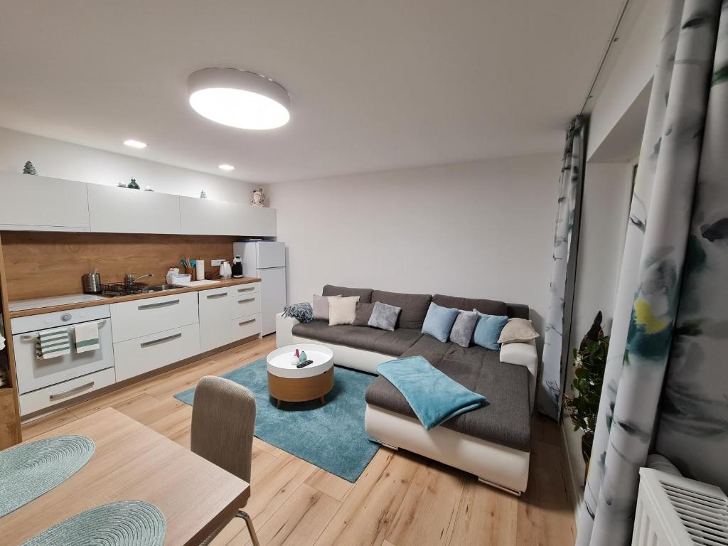 Kuchyň nebo kuchyňský kout v ubytování Apartmány EMA a PETER
