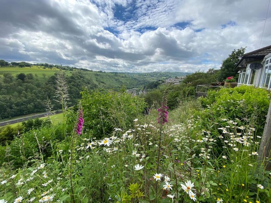 un campo de flores al lado de una casa en The Crest Hillside Retreat With Hot Tub, en Abertillery