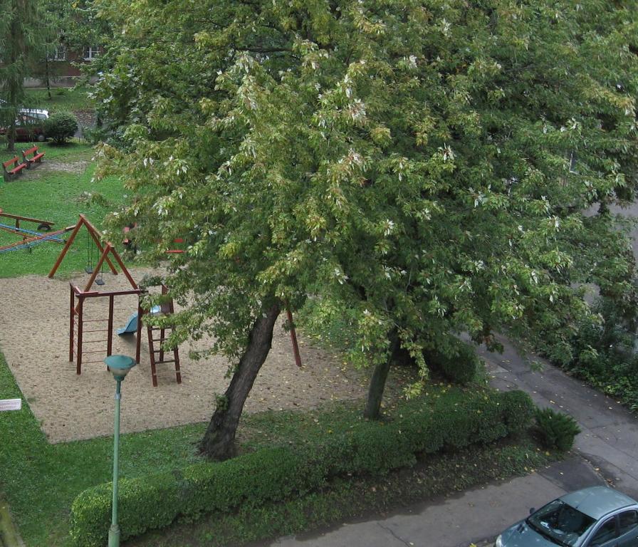 a tree and a swing set in a park at HZ Apartman Miskolc in Miskolc