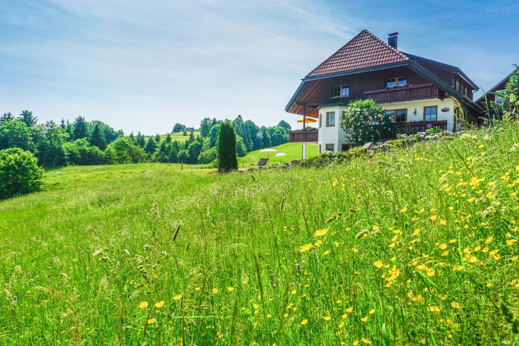 a house in the middle of a field of grass at Hubertus Lodge in Ibach
