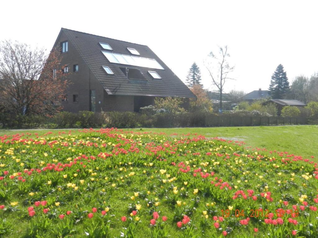 a field of flowers in front of a house at Fewo 2748 in Tossens in Tossenserdeich