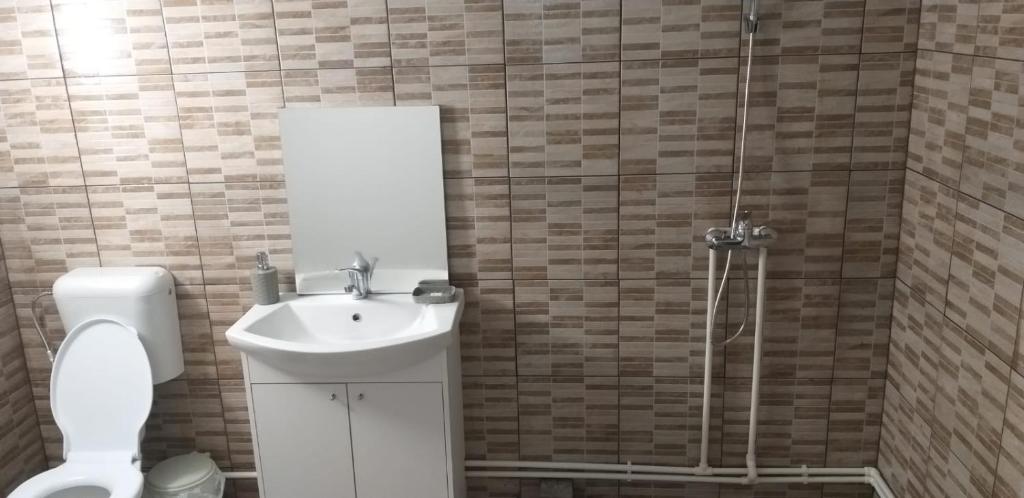 y baño con lavabo, aseo y ducha. en Cabana „Stâna din Deal” en Proviţa de Sus