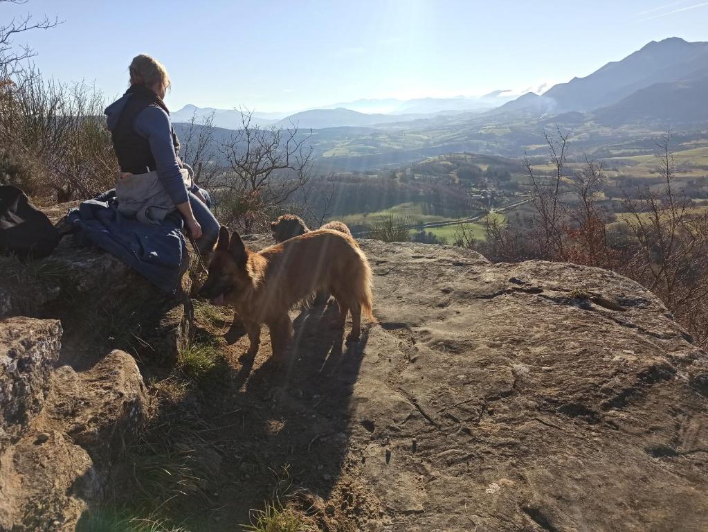 Agriturismo Alla Vecchia Quercia kisállat-vendégei