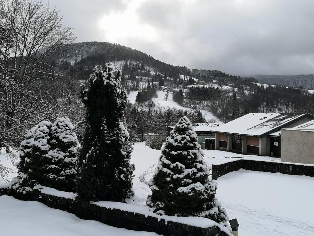 deux baptêmes dans la neige devant une maison dans l'établissement Appartement cosy et fonctionnel la Bourboule, à La Bourboule