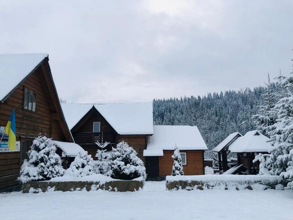 a house covered in snow with trees and bushes at Guest House Kaspiy in Bukovel