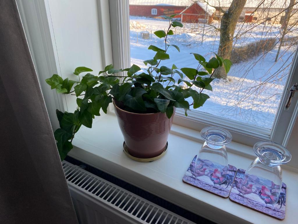 Bjälbo Gästhus B&B v zimě
